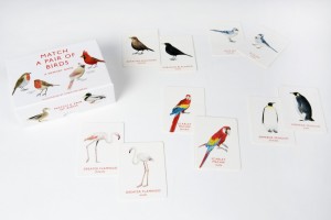 match_a_pair_of_birds_cards_2_2