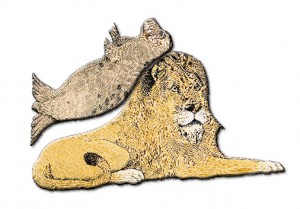 Löwe mit Robbe